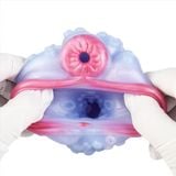  Âm đạo giả động vật lỗ hậu môn mô phỏng hình con bạch tuộc 