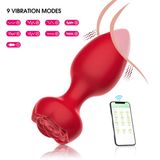  Máy rung cắm hậu môn kích thích đa điểm điều khiển từ xa 