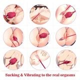  Máy rung mút hoa hồng massage âm đạo ngực thủ dâm làm tình 