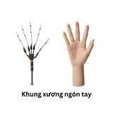  Sex doll em búp bê tiểu thư gợi cảm xinh đẹp và quyến rũ 