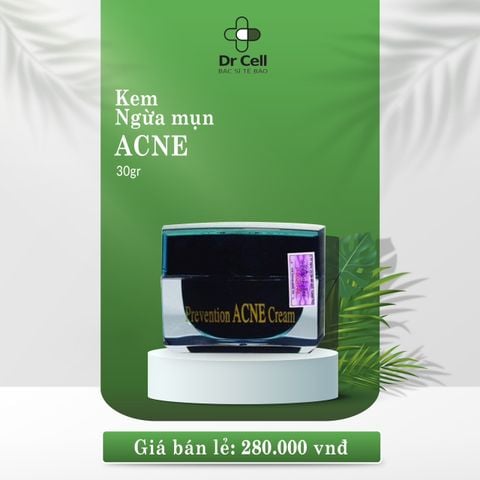 KEM NGỪA MỤN ACNE