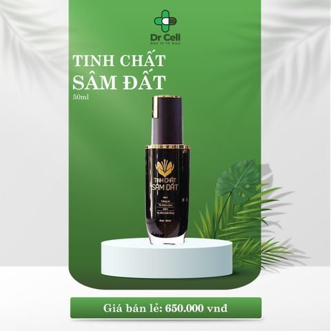 TINH CHẤT SÂM ĐẤT