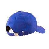 RNM Blue Cap