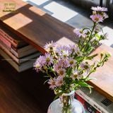 Concept Bàn ghế làm việc