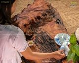 Bàn trà gỗ lũa điêu khắc hoa sen