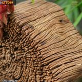 Gỗ lũa trang trí