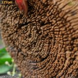 Gỗ lũa trang trí