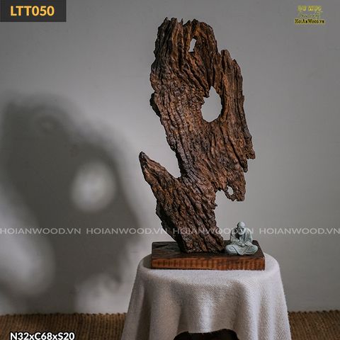 Gỗ Lũa trang trí – Du Mục Concept