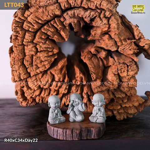 Gỗ Lũa trang trí – Du Mục Concept