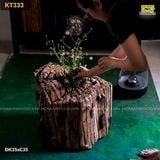 Đôn gỗ lũa decor