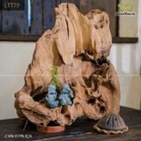 Gỗ lũa decor