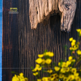 Bộ bàn trà làm từ gỗ lũa, gỗ tàu thuyền