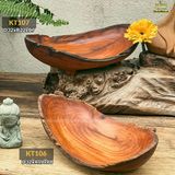 Khay đựng hoa quả