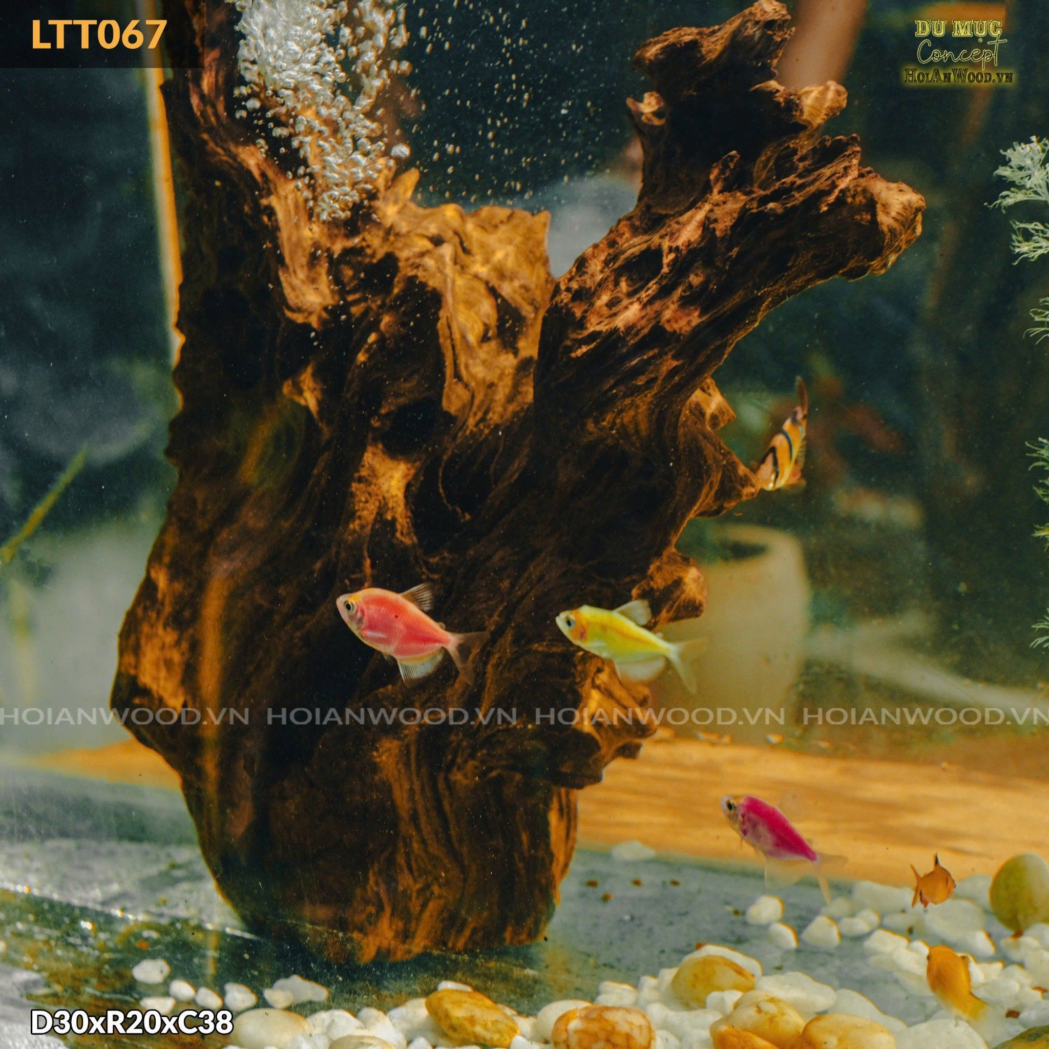 lua-decor-trang-tri