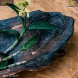 Chậu gỗ nu trồng cây