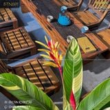 Concept trà đạo gỗ tàu thuyền