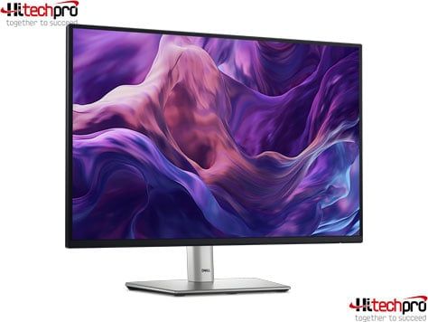 DELL LCD | P2425 | 24