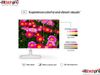 HP LCD S5 524SA FHD MONITOR, 3Y WTY 94C37AA