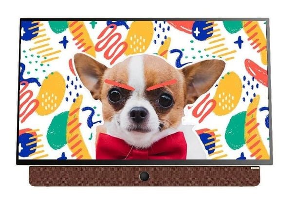 Google Tivi Skyworth FHD 24 Inch P6300