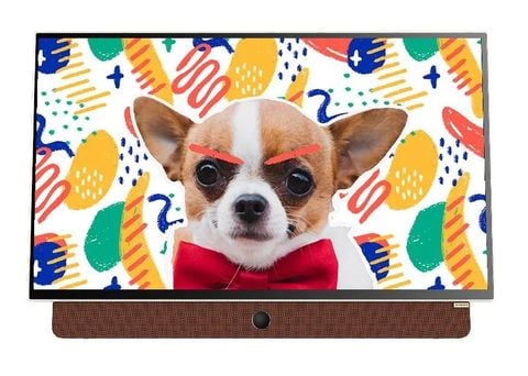 Google Tivi Skyworth FHD 24 Inch P6300