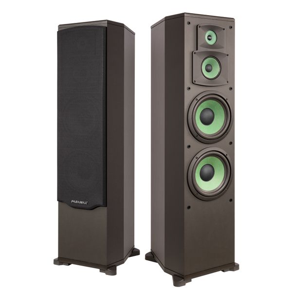 Loa Paramax F-1000