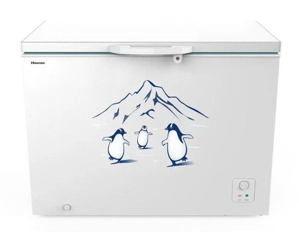 Tủ đông Hisense Inverter 300 Lít FC380D4EWC1
