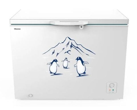 Tủ đông Hisense Inverter 300 Lít FC380D4EWC1