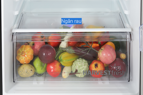 Tủ lạnh Beko Inverter 375 Lít RDNT401I50VHFSU