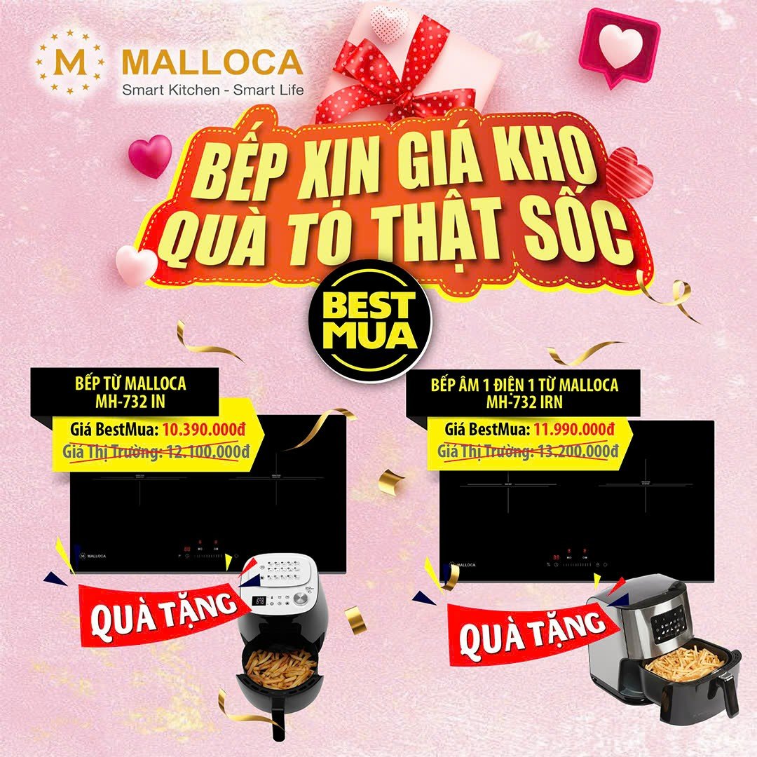 Bếp điện từ đôi Malloca MH-732 IN