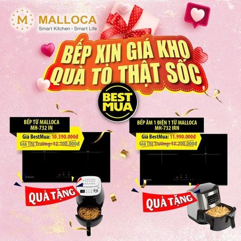 Bếp điện từ đôi Malloca MH-732 IN