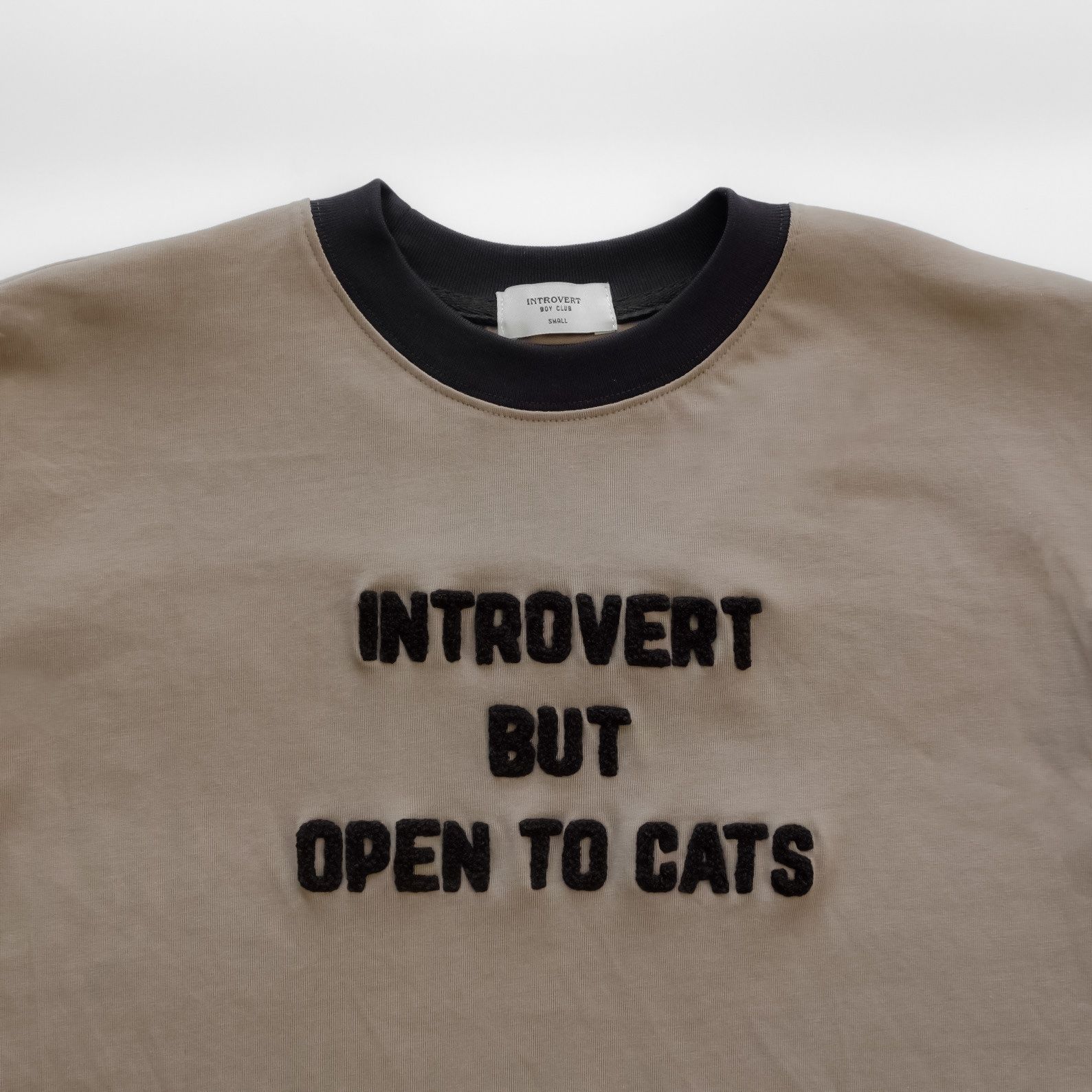  Introvert But Open To Cats T-shirt - Grey 