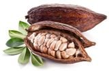 Nửa thùng lương khô quân đội vị cacao dành cho người tập thể thao-(2,1kg = 3 hộp)-lương khô quân đội