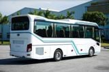  XE 29 GHẾ (CHỖ) THACO BUS TB87S 29L 