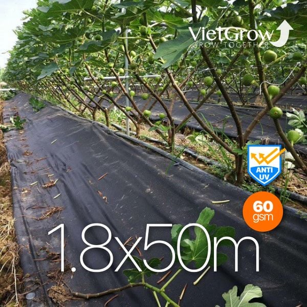  Lưới Vải Chống Cỏ 1.8x50m 