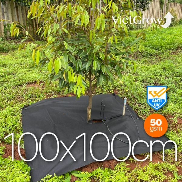  Lưới Vải Chống Cỏ Tấm Vuông Cắt Sẵn 1x1m 