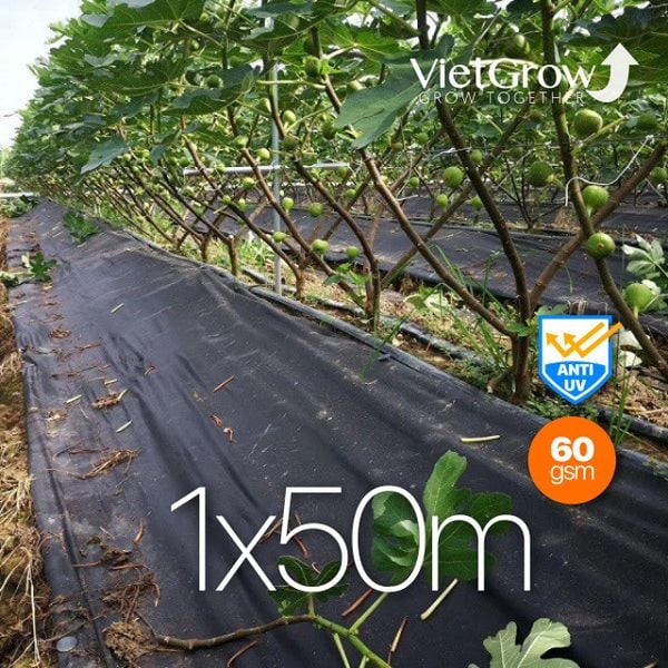  Lưới Vải Chống Cỏ 1x50m 