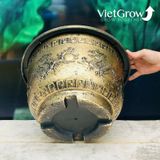  Chậu Nhựa Giả Đồng Song Long Tranh Châu, Đường kính 40cm 