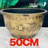  Chậu Nhựa Giả Đồng Song Long Tranh Châu, Đường kính 50cm 