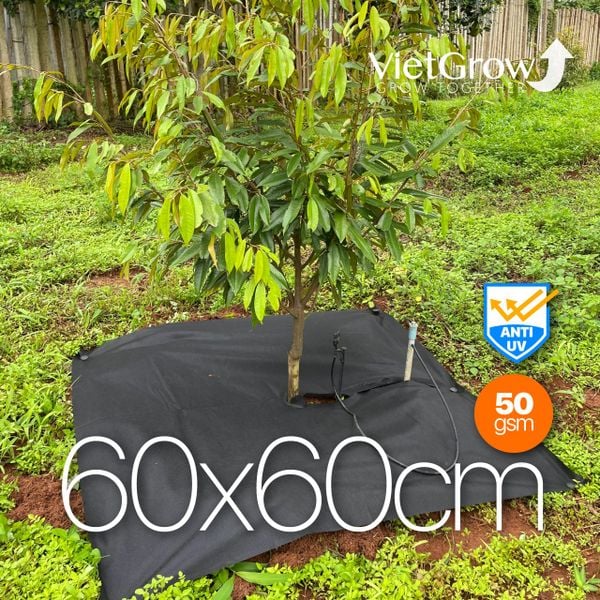  Lưới Vải Chống Cỏ Tấm Vuông Cắt Sẵn 60cmx60cm 