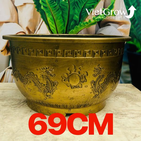  Chậu Nhựa Giả Đồng Song Long Tranh Châu, Đường kính 69cm 
