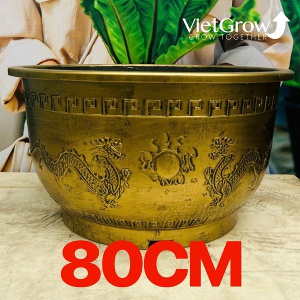  Chậu Nhựa Giả Đồng Song Long Tranh Châu, Đường kính 80cm 