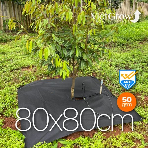  Lưới Vải Chống Cỏ Tấm Vuông Cắt Sẵn 80x80cm 