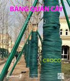  Băng quấn cây 