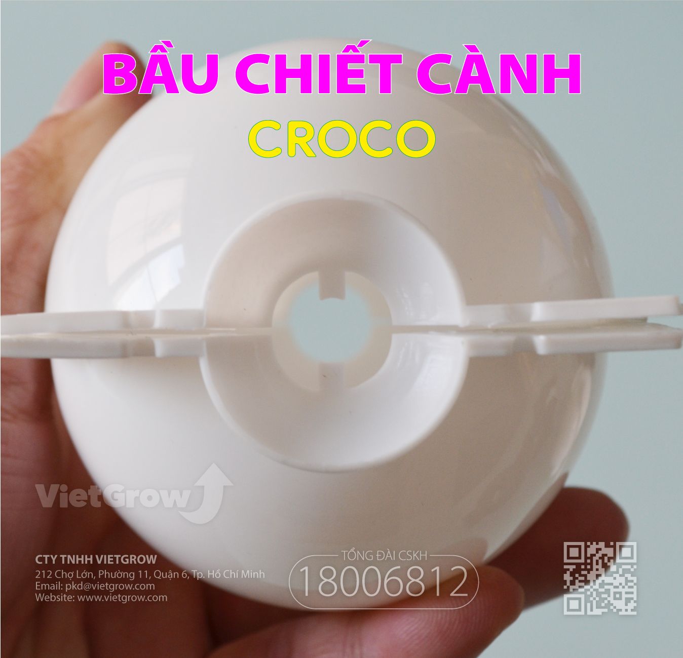  Bầu chiết cành 