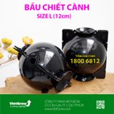  Bầu chiết cành 
