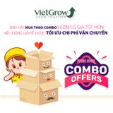 Chậu Nhựa Giả Đồng Song Long Tranh Châu, Đường kính 69cm 