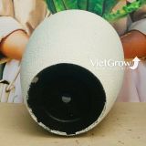  Chậu giả đá màu trắng đường kính 50cm - FLORAL DX6 