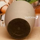  Chậu giả đá màu xám đường kính 50cm - FLORAL DX6 
