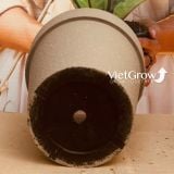  Chậu giả đá màu xám đường kính 50cm - FLORAL GP3 