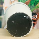  Chậu giả đá màu trắng đường kính 60cm - FLORAL GP4 